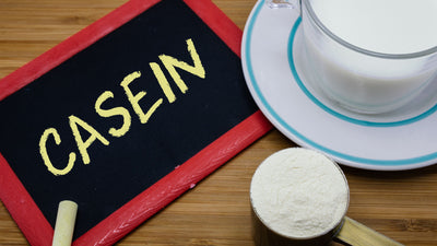 Casein Protein: The Power of Casein Protein