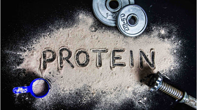 Protein: The Best Time to Consume Protein